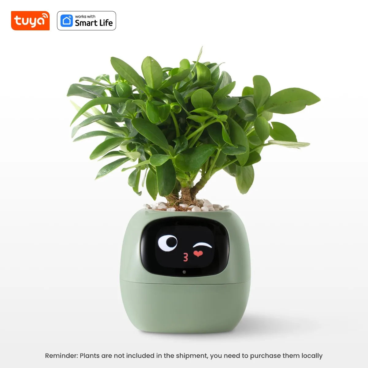 Tuya Smart pet Planter - Interactive Pet-Like Plant Pot